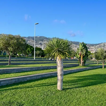 Beco Santa Emilia 3m, A In Madeira * Funchal (Madeira)